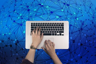 程序员厉害还是黑客厉害？揭秘数字世界两大角色的核心差异与互补价值