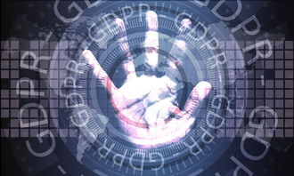 黑客在线接单好技术常识：揭秘平台运作与安全学习路径  第2张