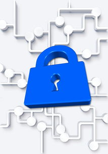 黑客在线接单好技术常识：揭秘平台运作与安全学习路径  第3张