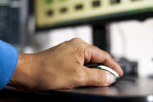 学黑客的最佳年龄：青少年与成年人的学习优势全解析