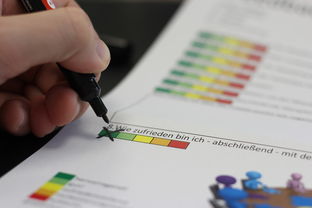 学黑客的最佳年龄：青少年与成年人的学习优势全解析  第2张