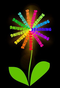 学黑客的最佳年龄：青少年与成年人的学习优势全解析  第3张